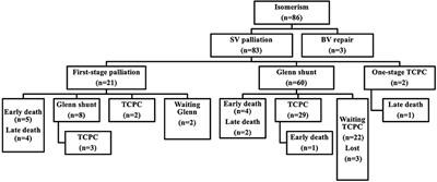 Outcomes of the Surgical Management of Atrial Isomerism and Functional Single Ventricle: A Single-Centered Cohort From China